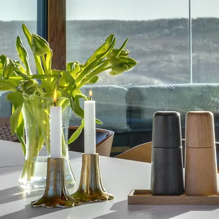 Dom wakacyjny Caterina - 100m From The Sea By Interhome Blåvand